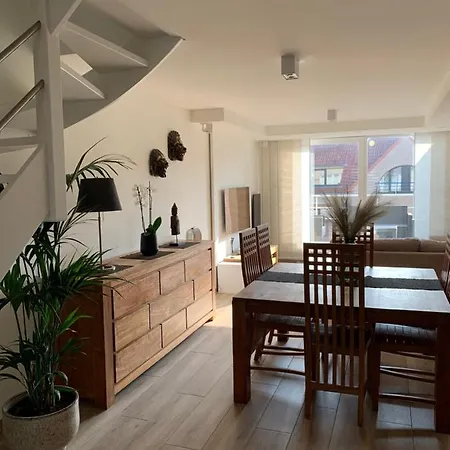 Ozzy 's Place Ostende